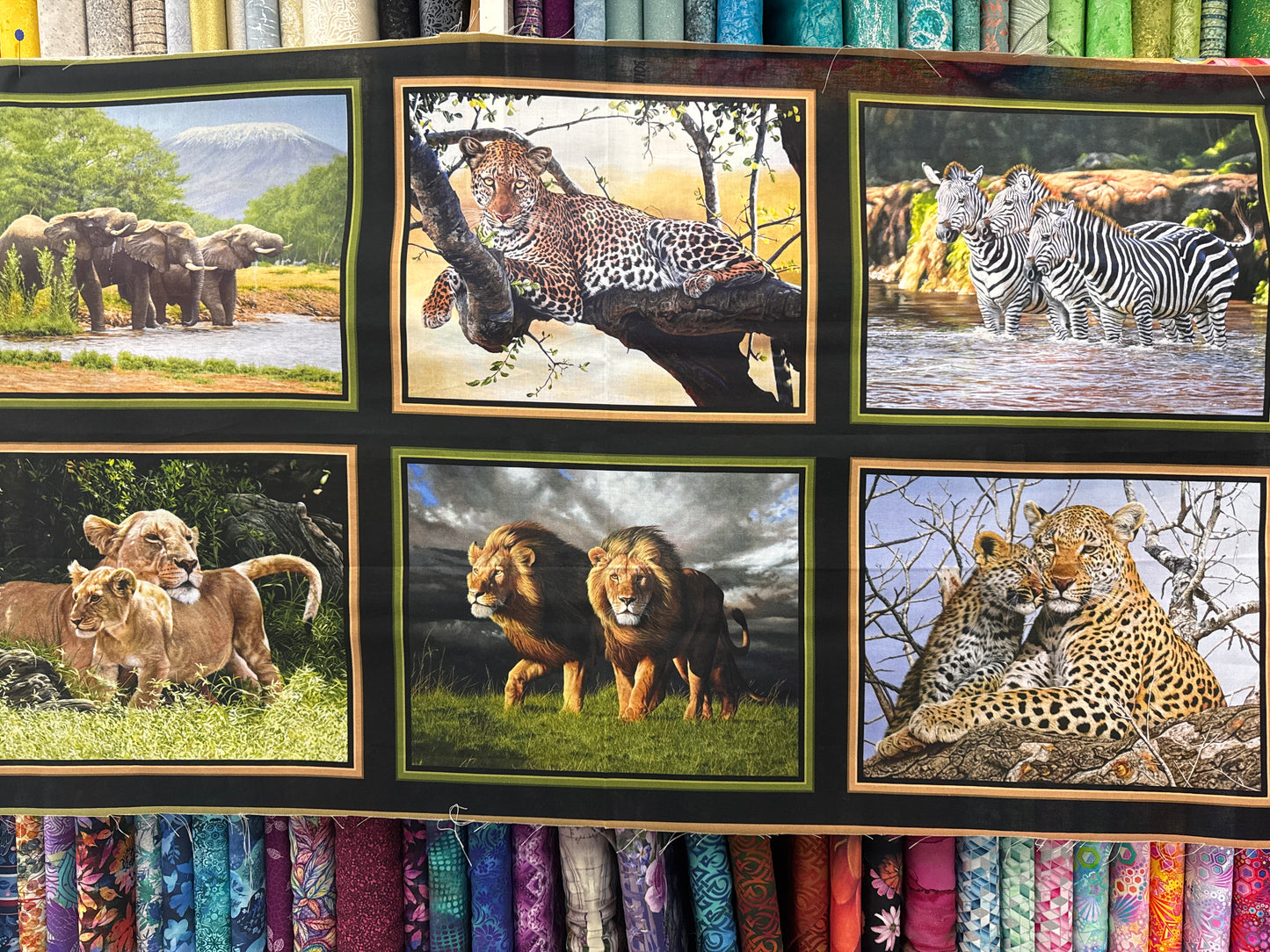 On Safari - 6 Jungle Animal Panel