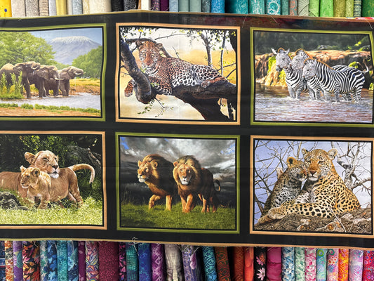 On Safari - 6 Jungle Animal Panel