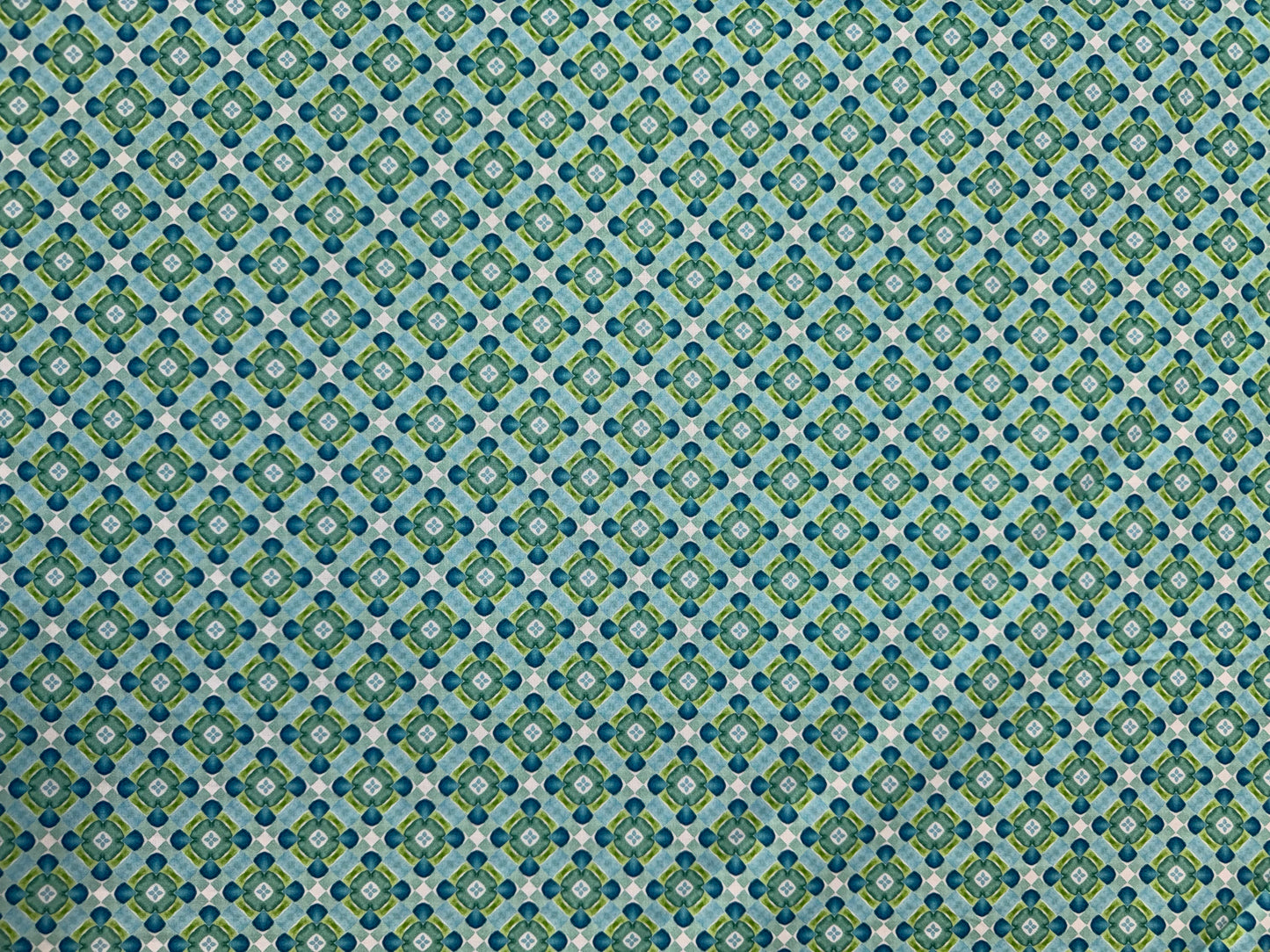 Dragon Friends Aqua Accent - 10DF-1