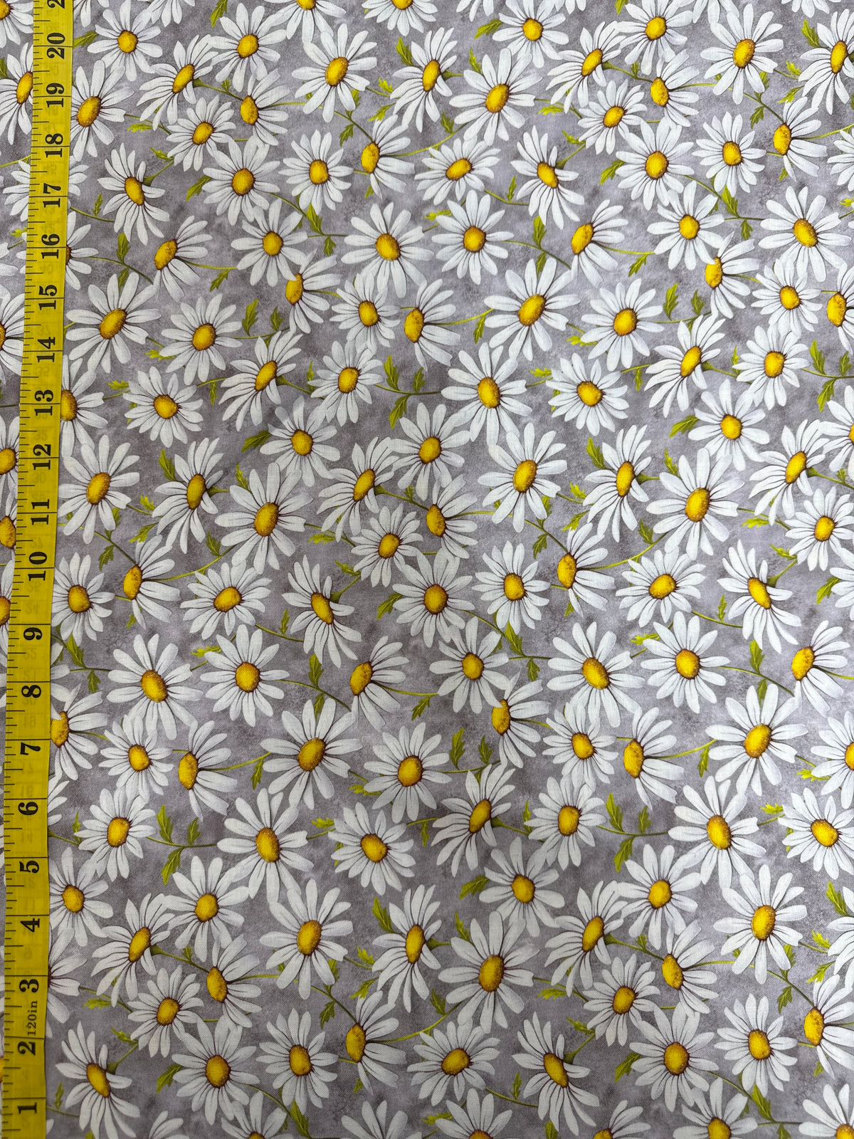 Honey Bee - Daisies on Grey