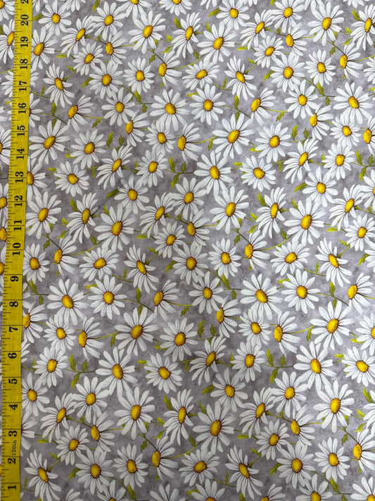 Honey Bee - Daisies on Grey