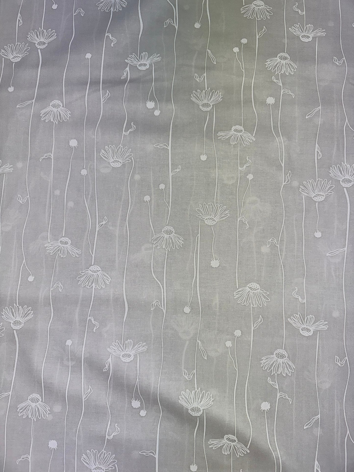 White on White - Alabaster Hues - Tall Stems