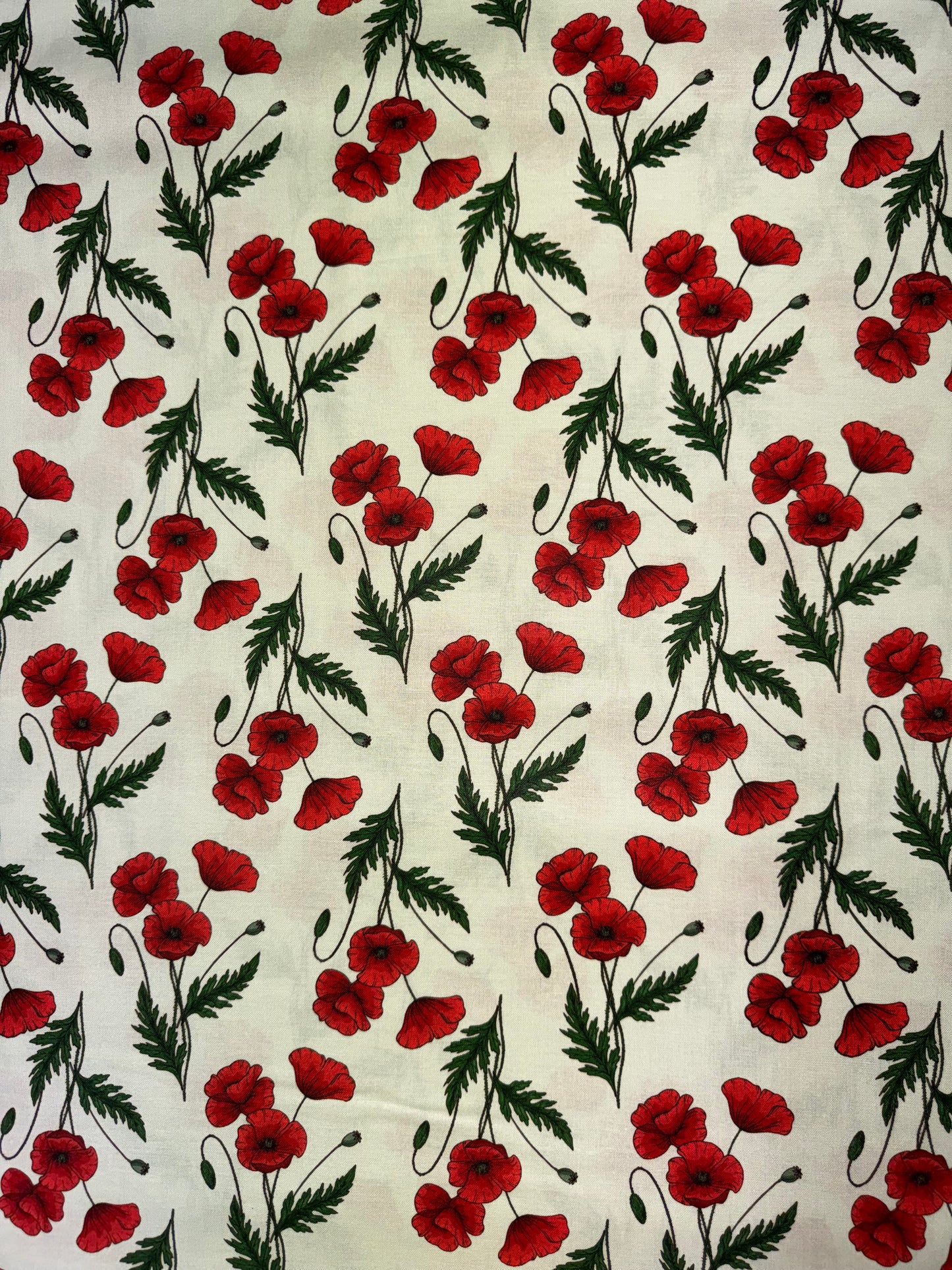 Red Poppies on Ivory Background