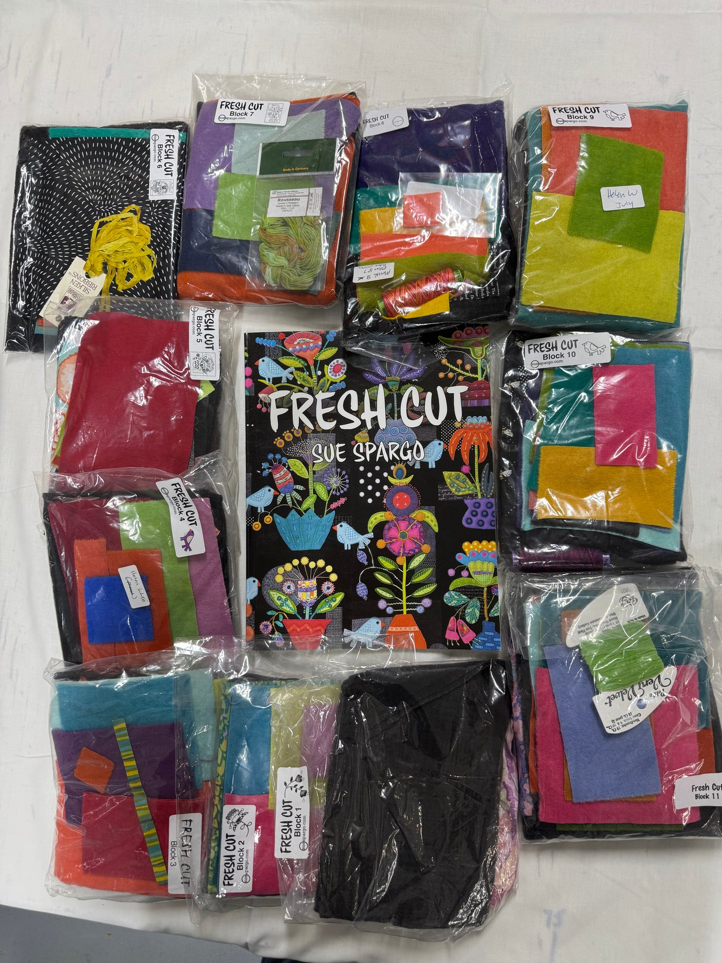 Sue Spargo Fresh Cut Book and 11 Block sets Kit