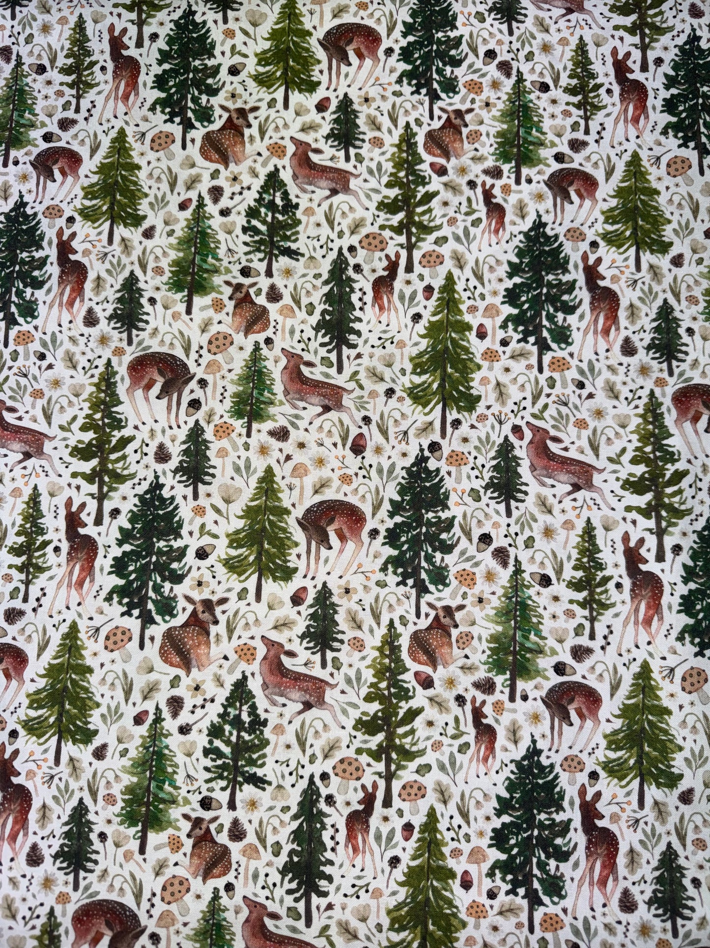 In the Forest - Deer in a Pine Forest on a white background