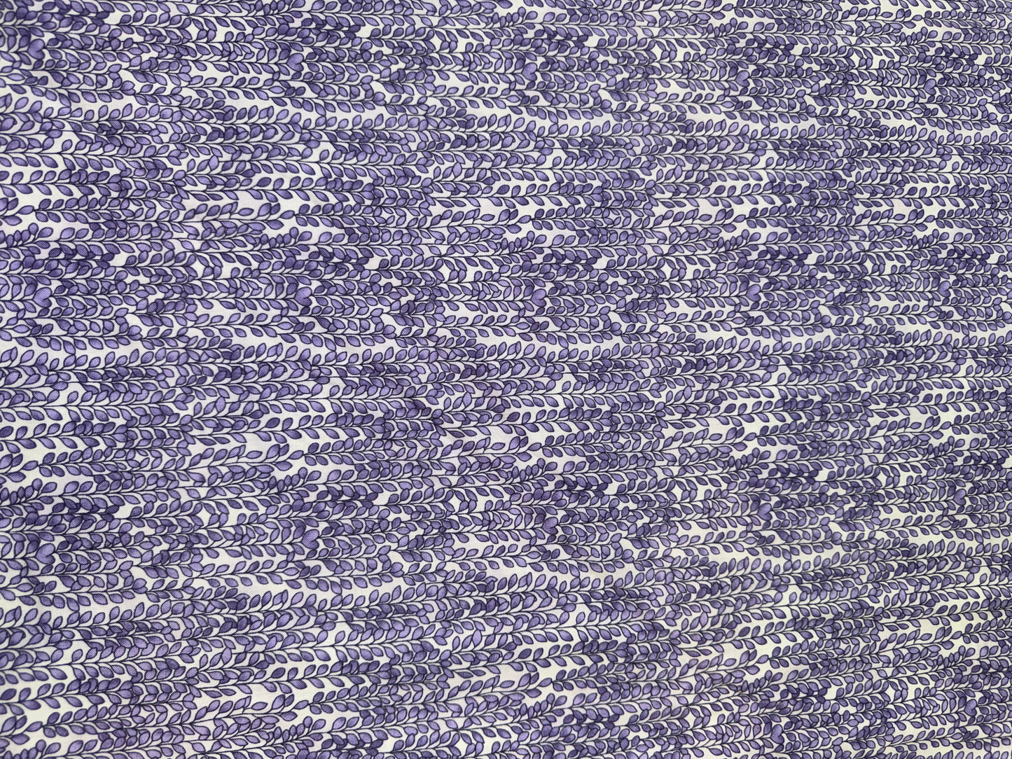 Hanging Vine Lavender on white background