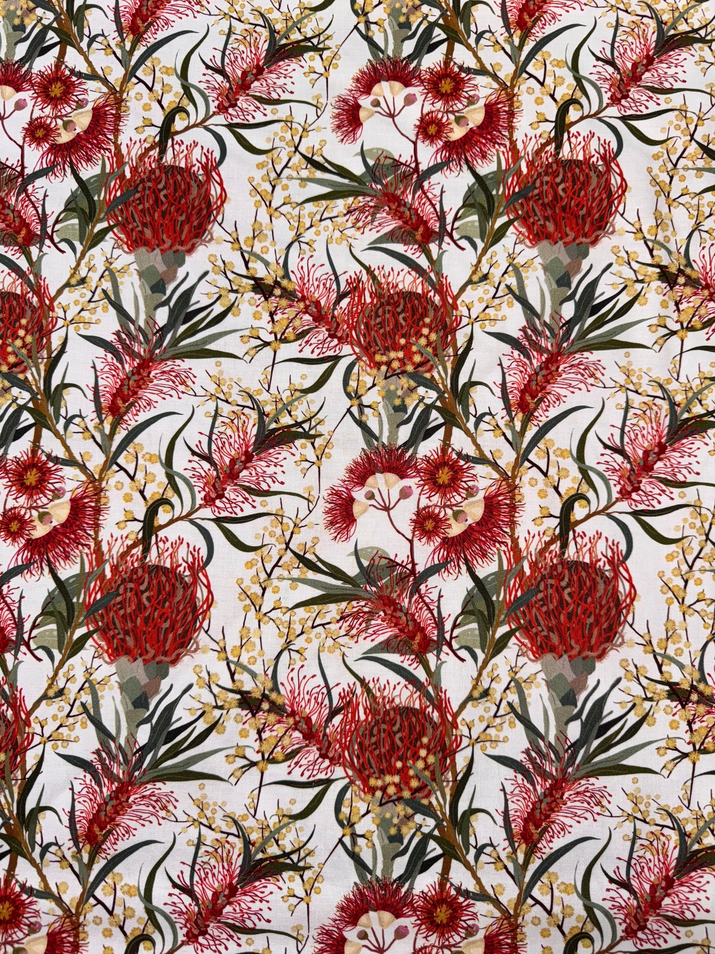 Nora's Natives Waratah on White DV6351