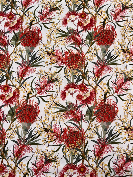 Nora's Natives Waratah on White DV6351