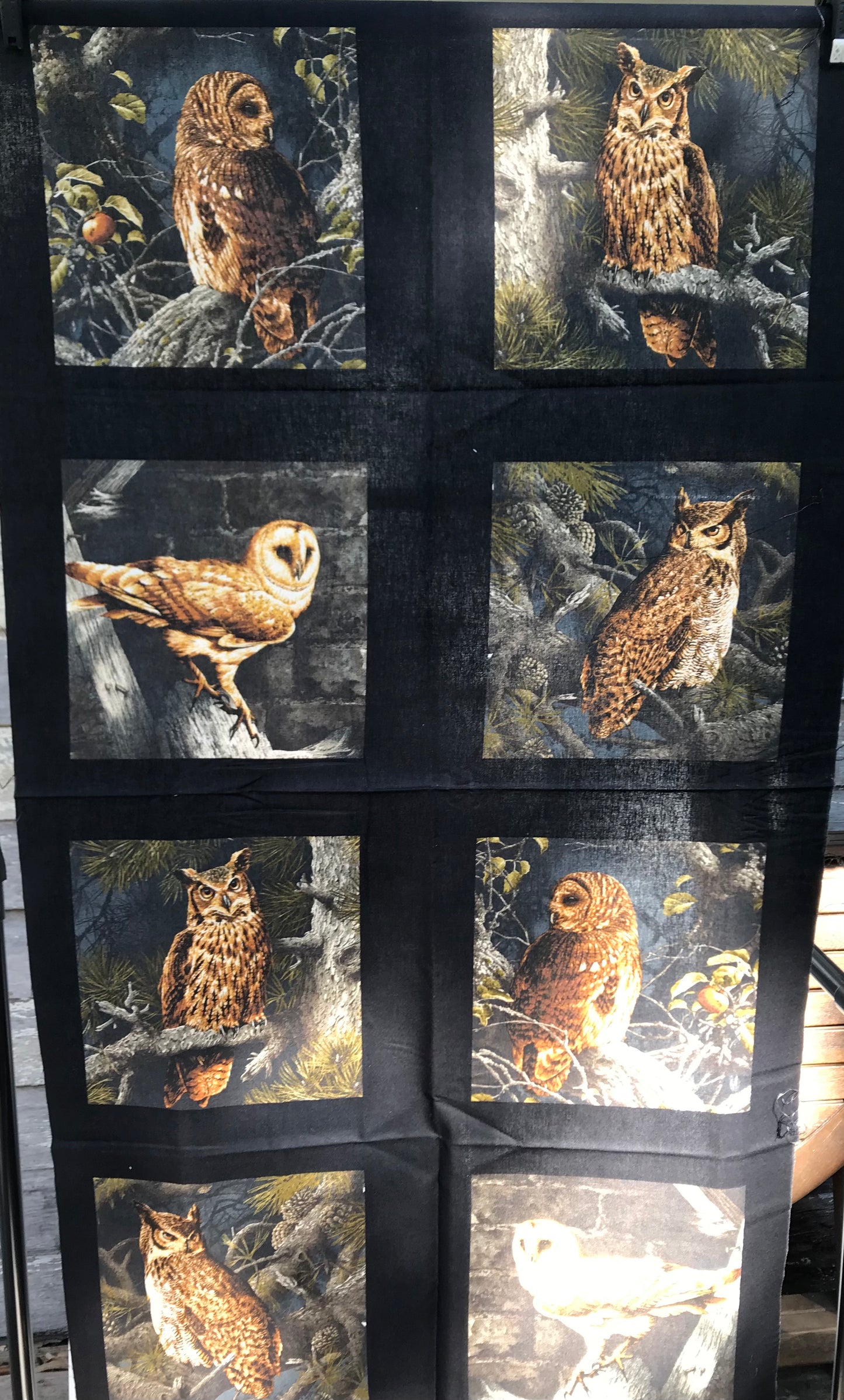 Set of 8 Owls at Night