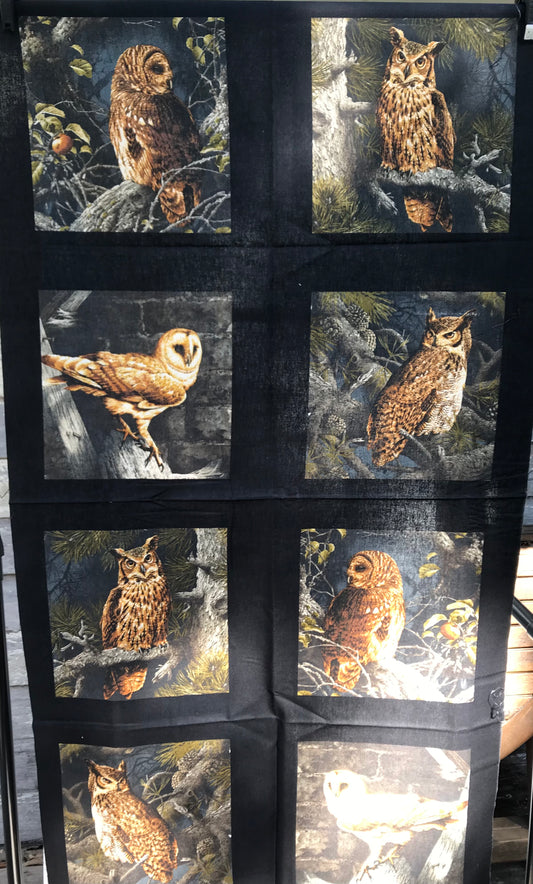 Set of 8 Owls at Night