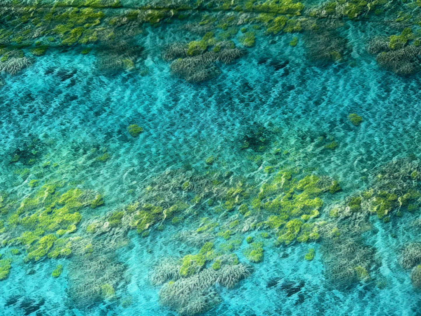 Underwater Wonders - Sea Floor