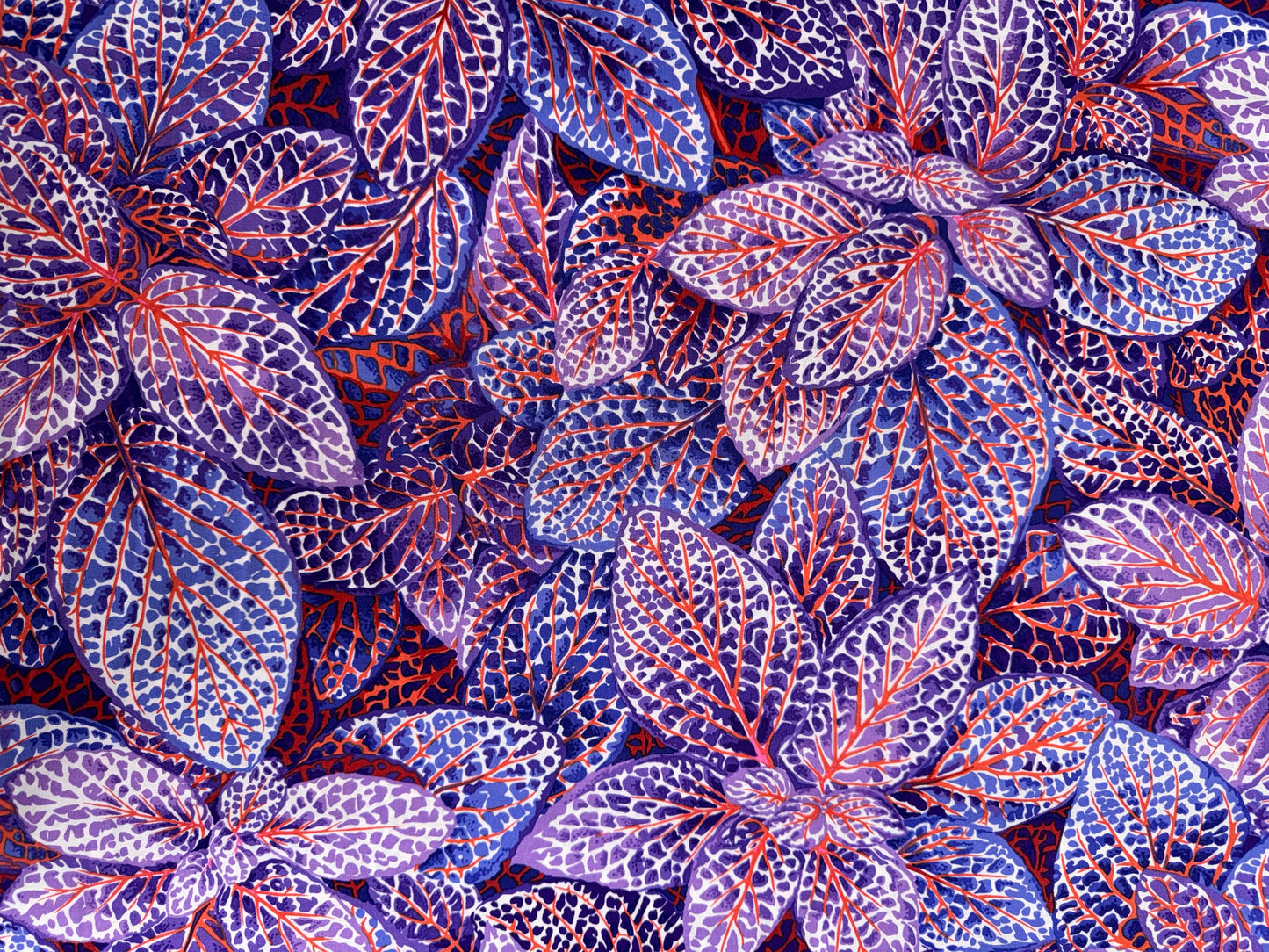 Kaffe Fassett Fittonia in Blue   5.2m available