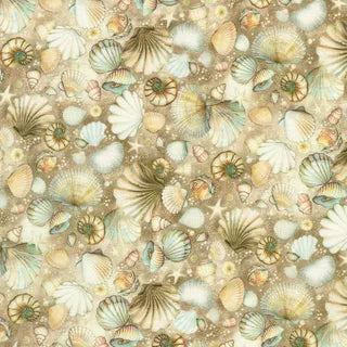 Ocean Fantasy - Tidepool in Shell