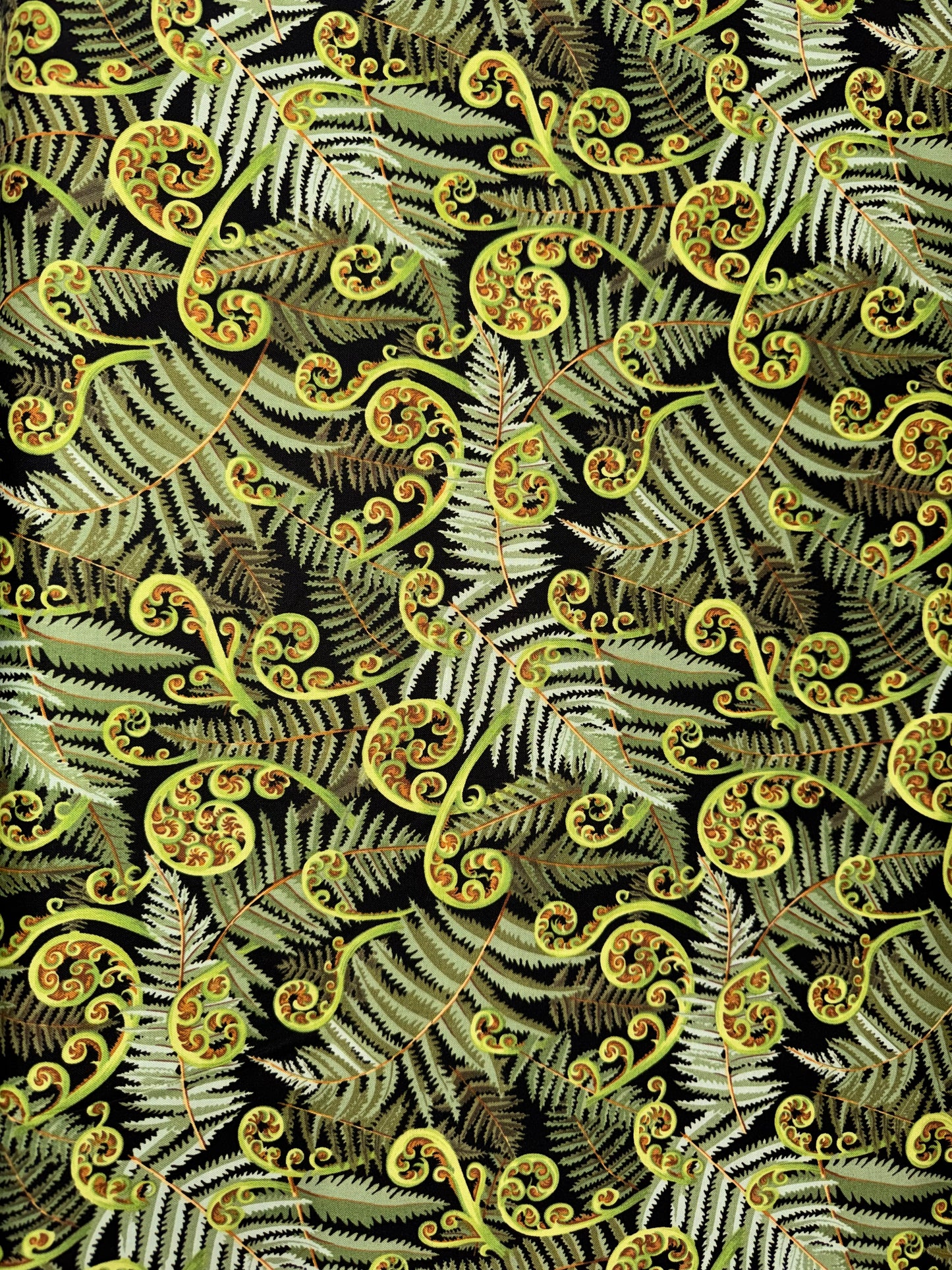 Koru Fern Frond