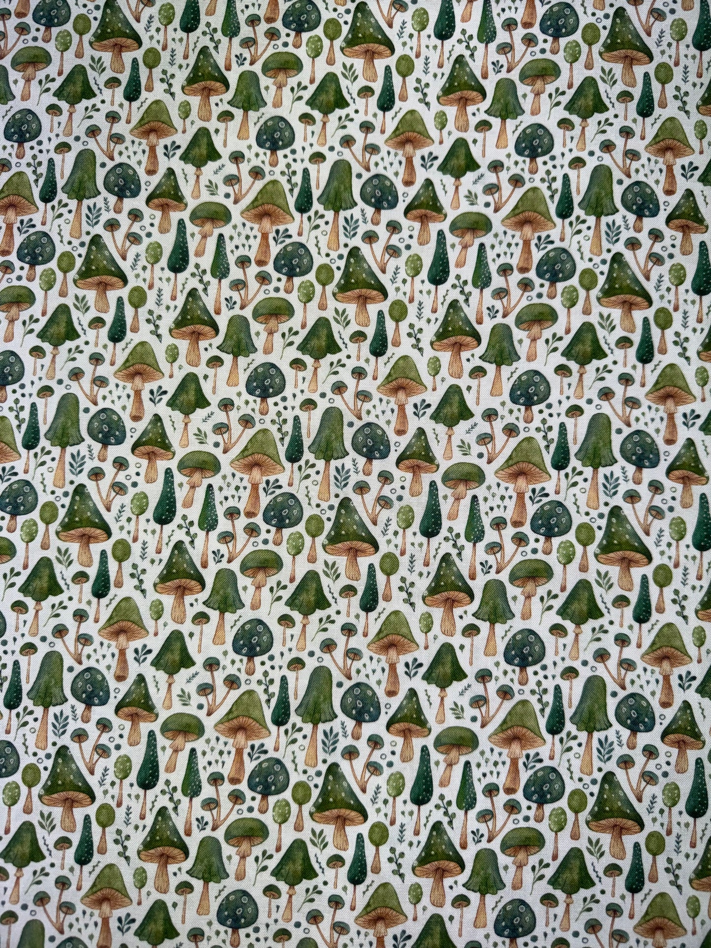 In the Forest - Mushrooms on a White background
