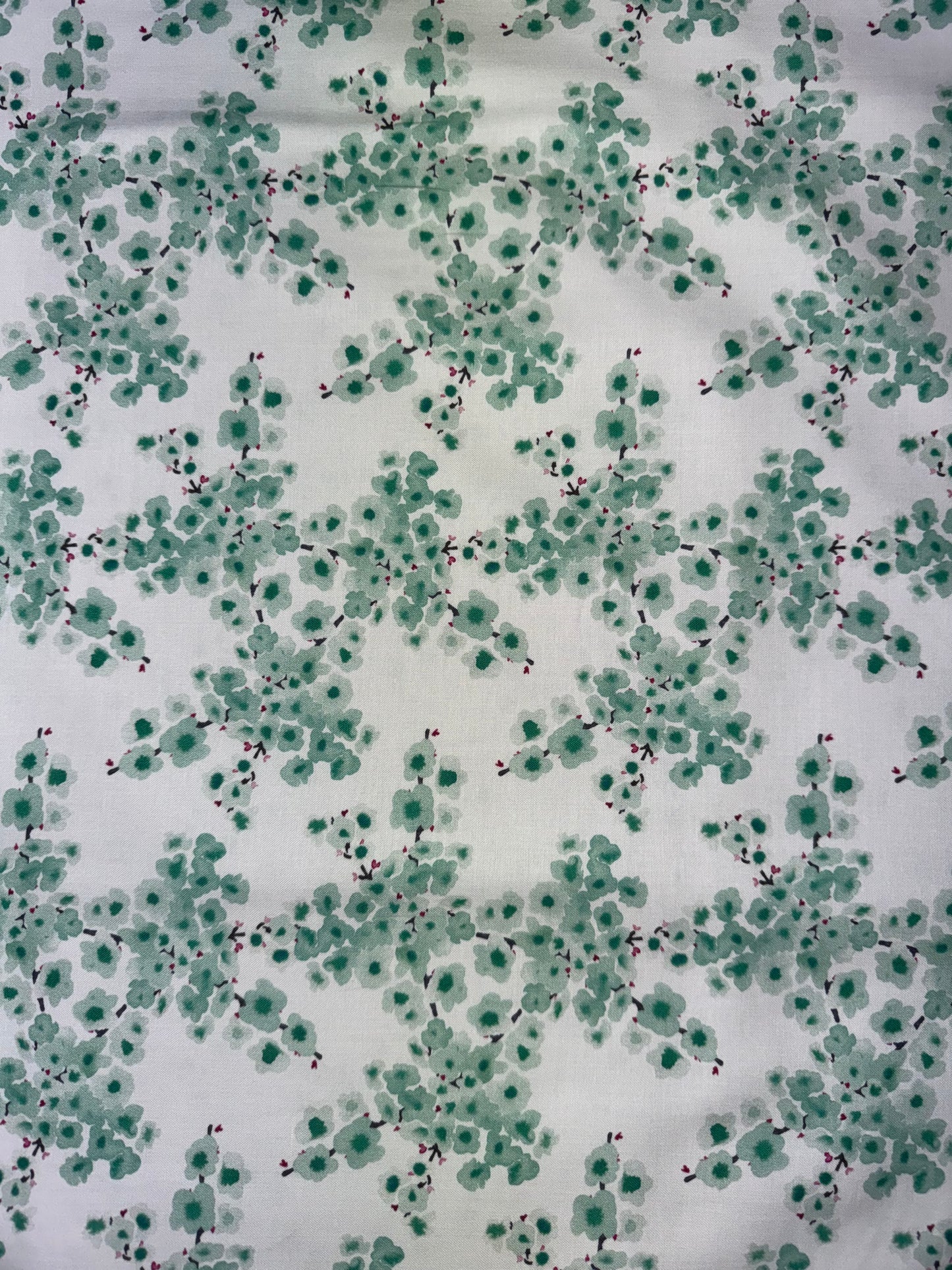 Floral on soft green background DV7267