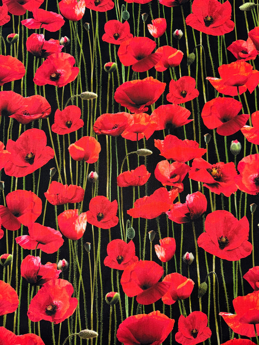 Red Poppies on black background  Wideback 108"
