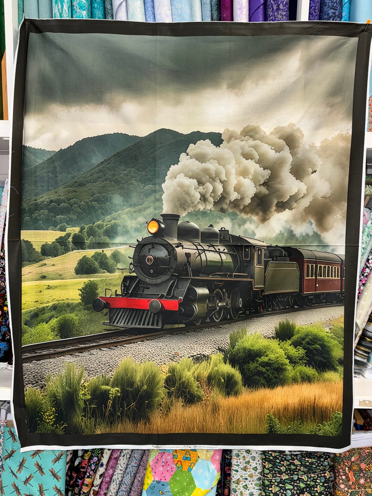 Steam Train Panel