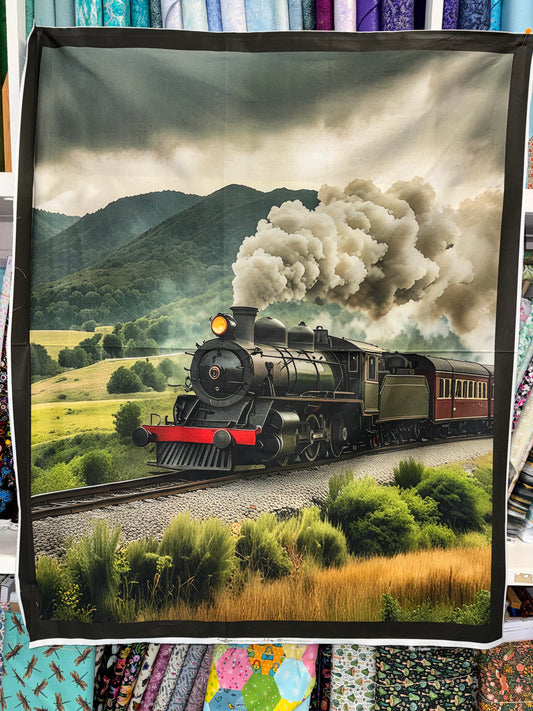 Steam Train Panel