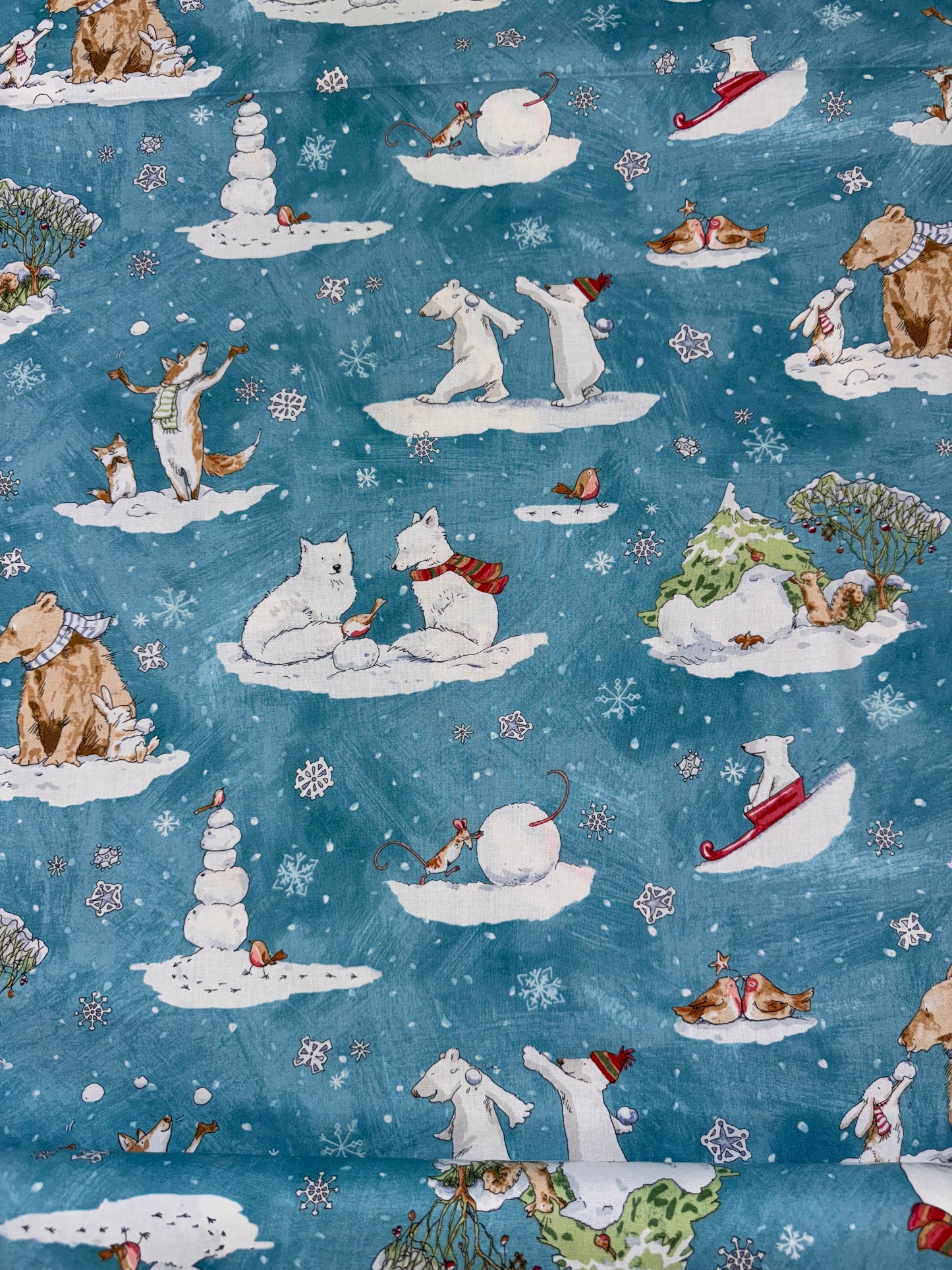 Snowtime Toile Aqua Y4550-33