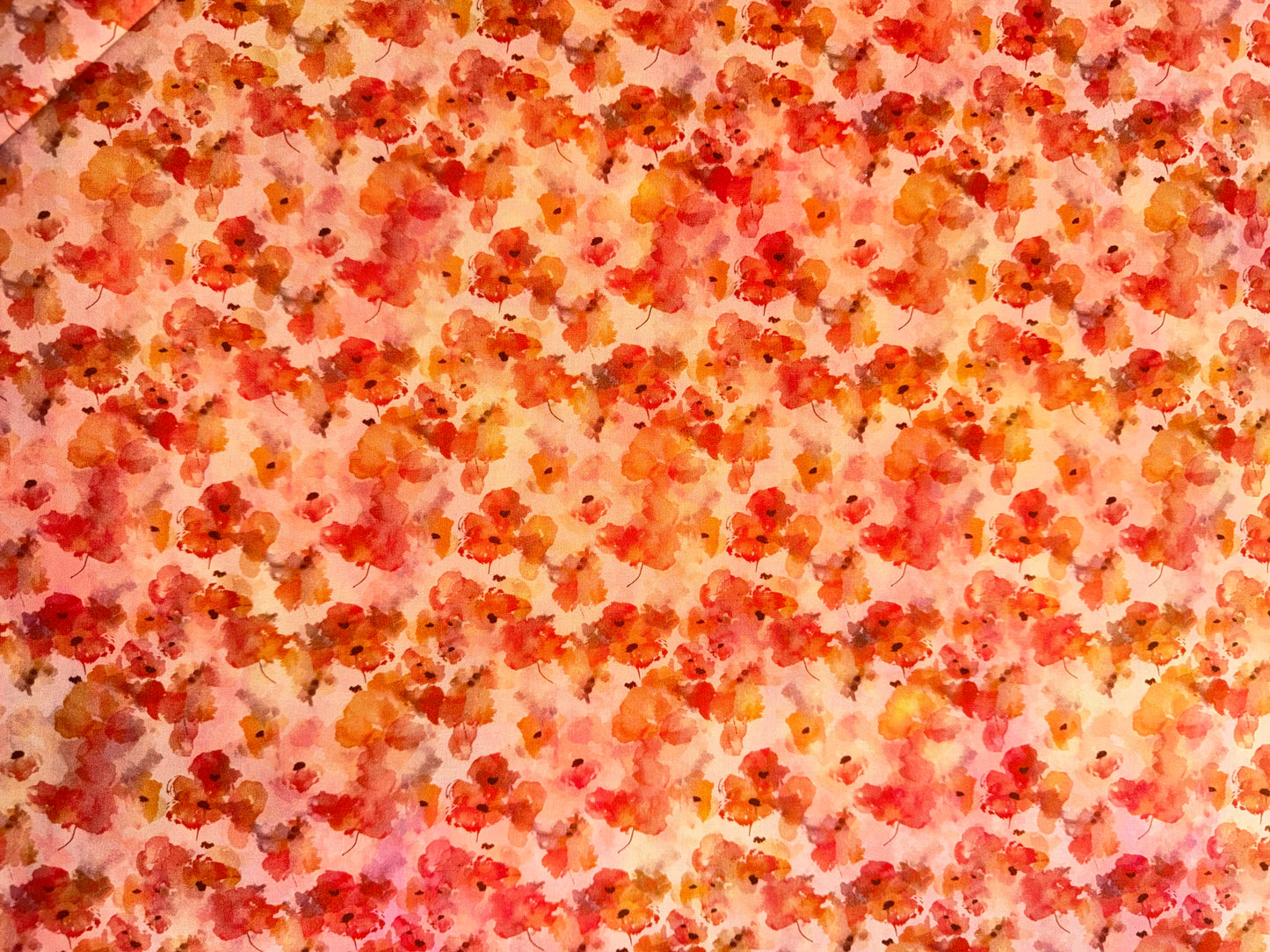 Blooming Day and Night by Jason Yenter - Orange Floral
