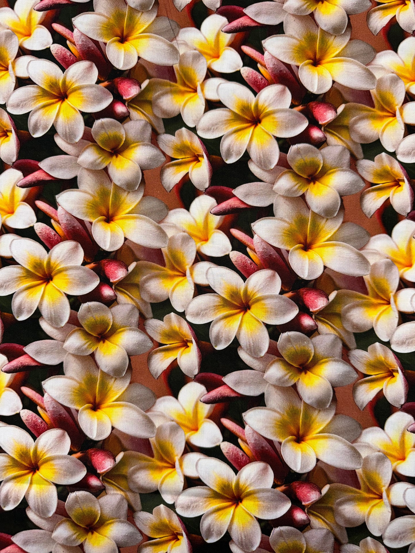 Frangipani Lane - Alba Yellow