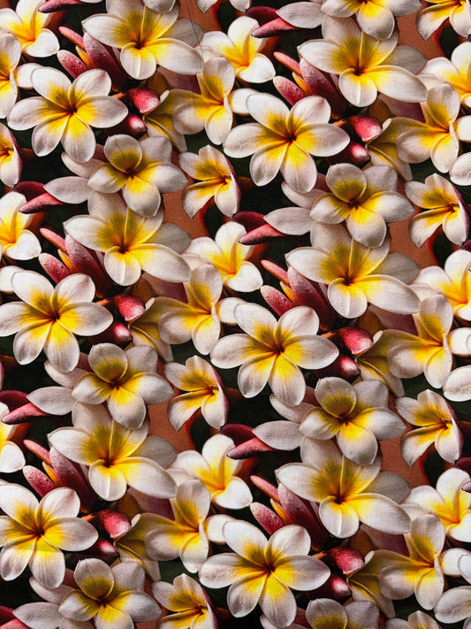 Frangipani Lane - Alba Yellow