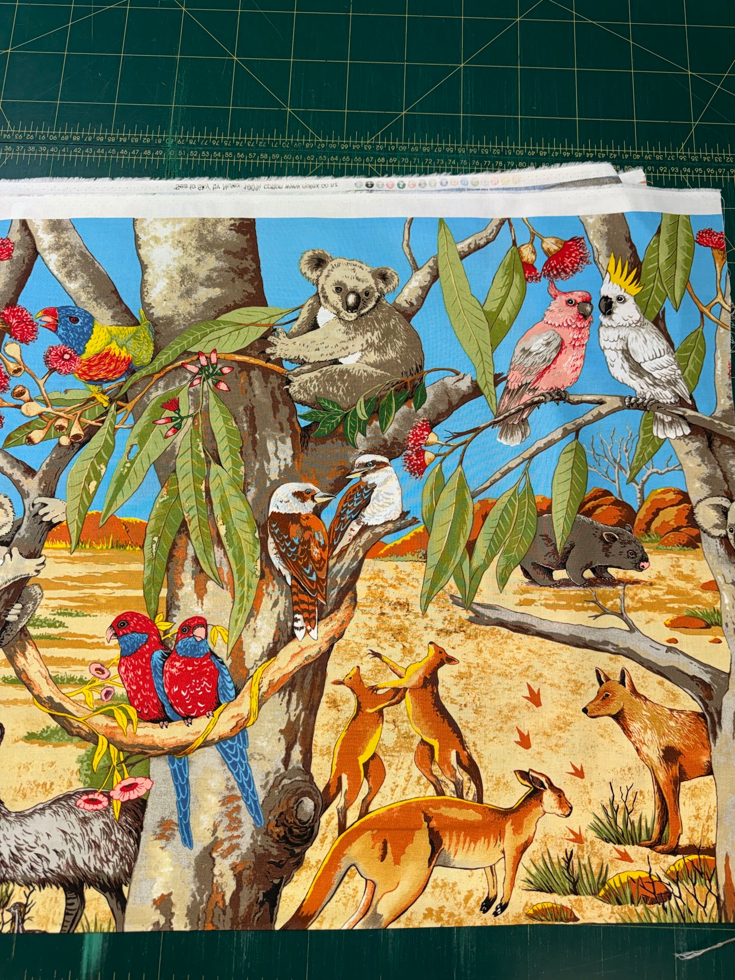 Sea to Sky - All the Aussie creatures in one print