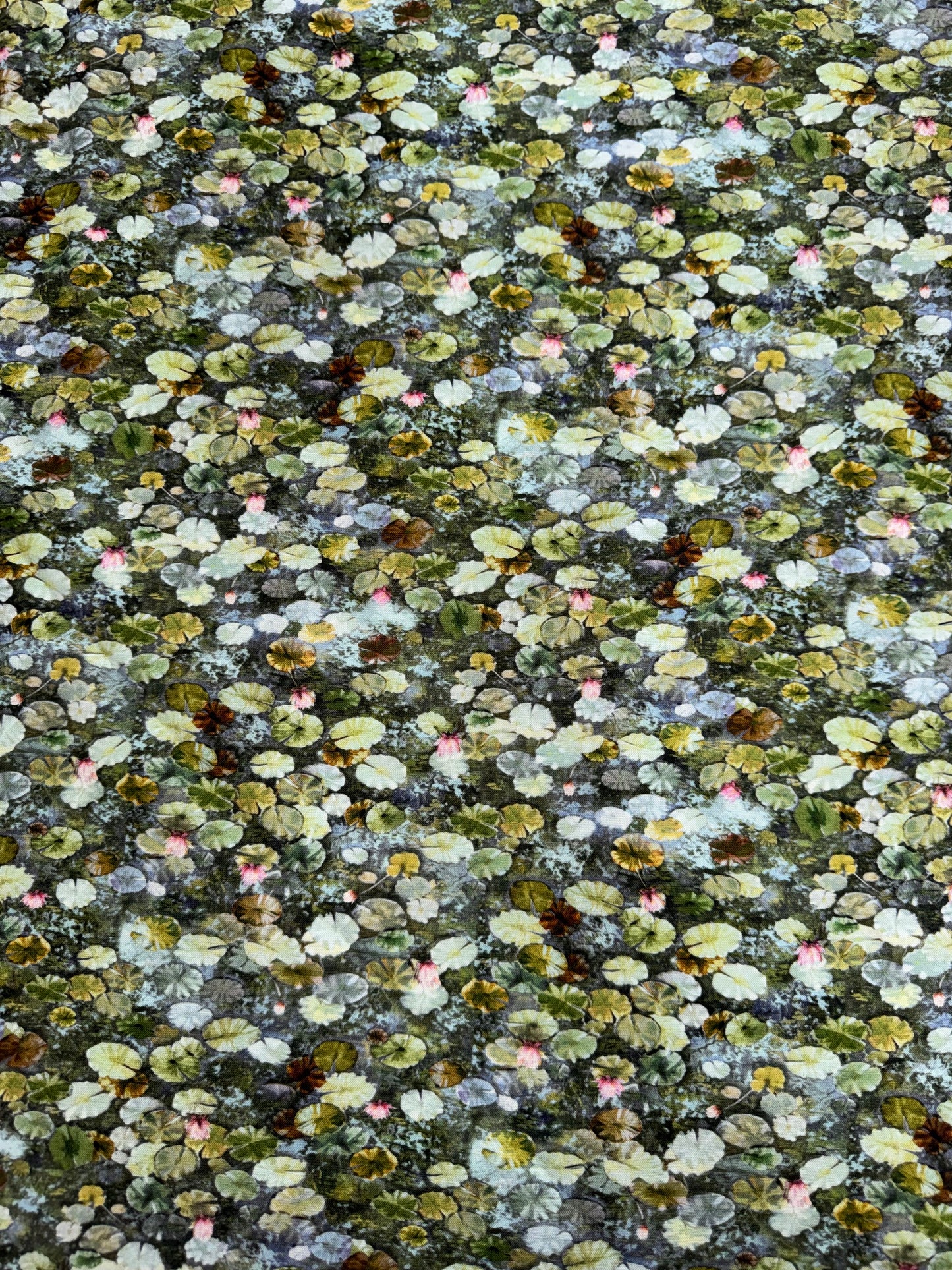 Japanese Sakura Blooms Pond - Green Lilypads