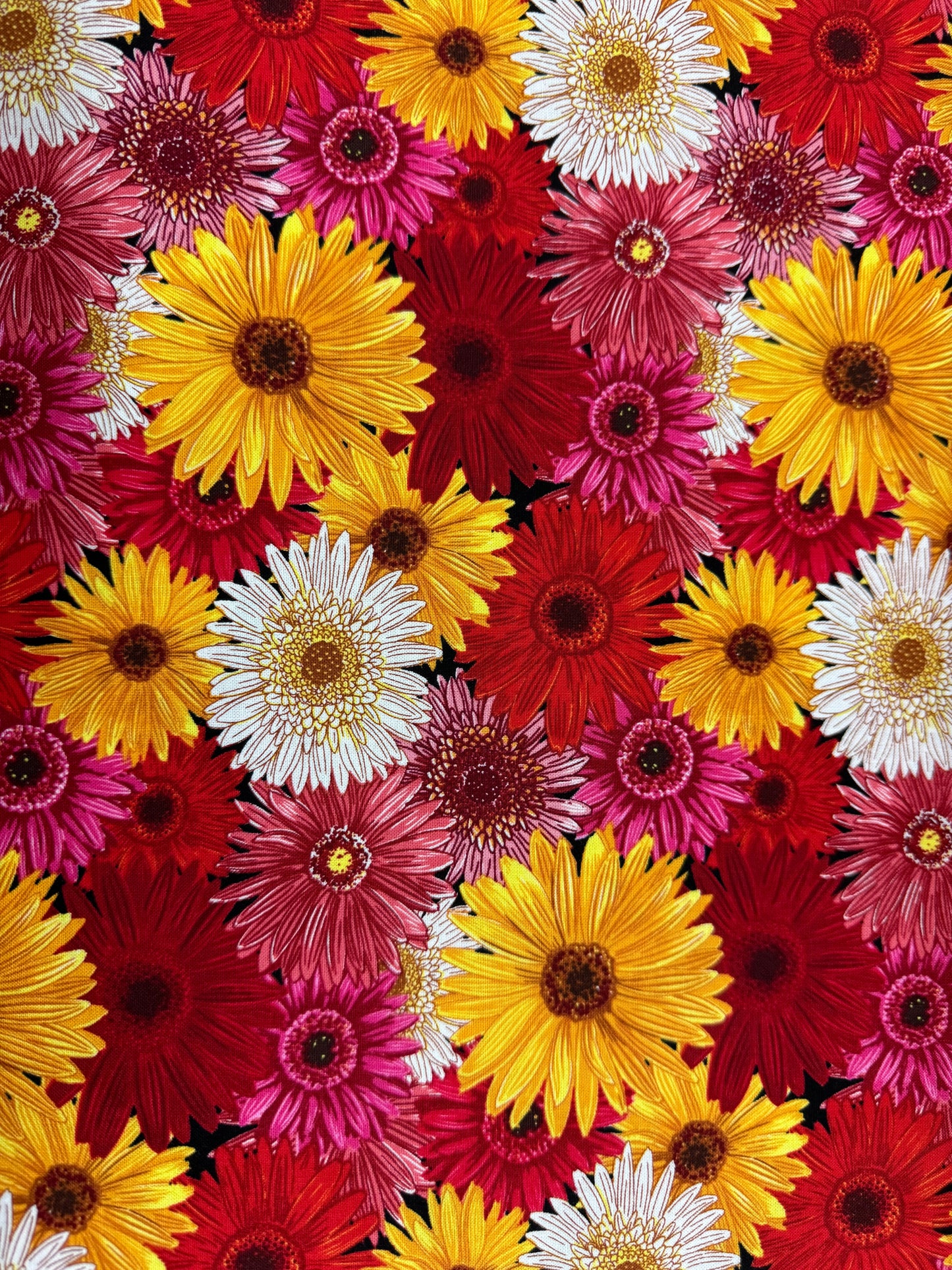 Flower Market - Gerberas