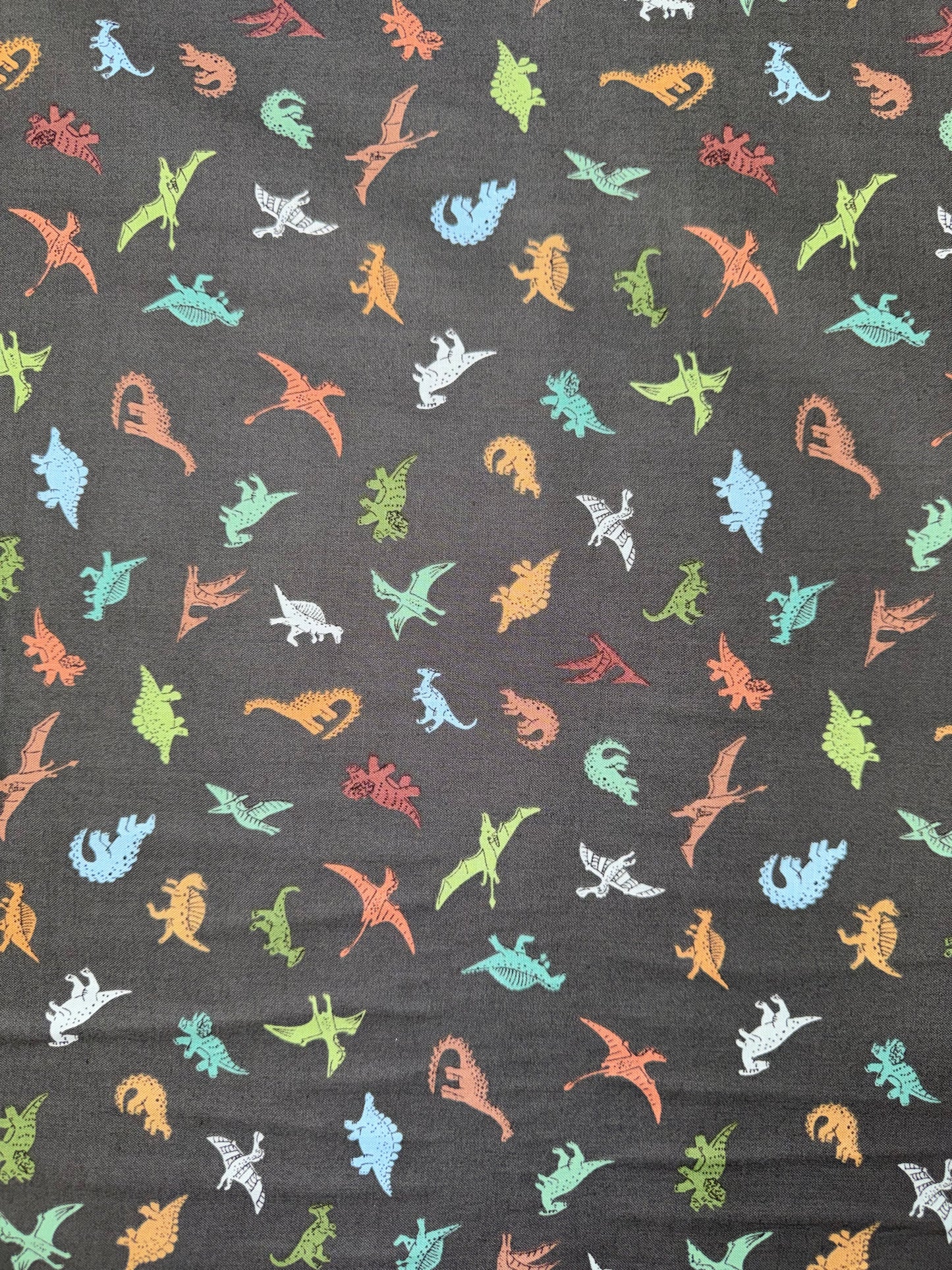 Prehistoric Dinosaurs - Multicoloured on Dark Background