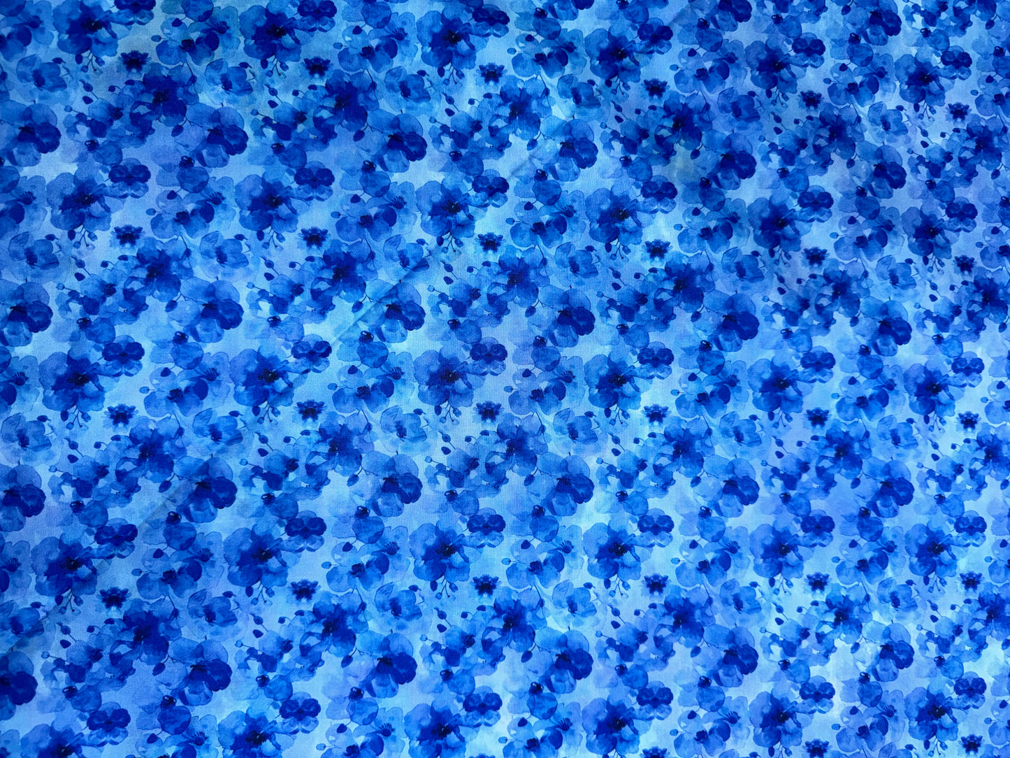 Blooming Day and Night by Jason Yenter - Blue Floral