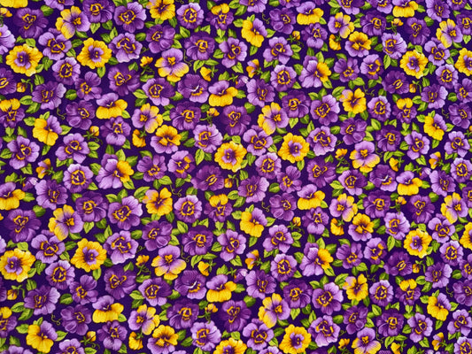 Pansies on Purple