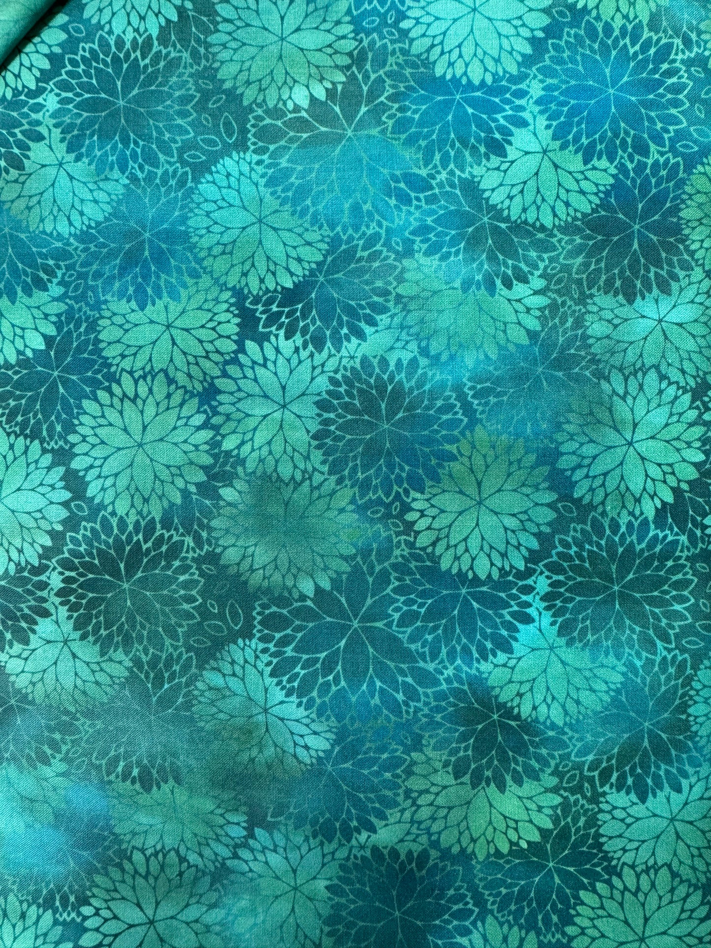 Dear Clara by Jason Yenter - Teal Mums - 14DCL1