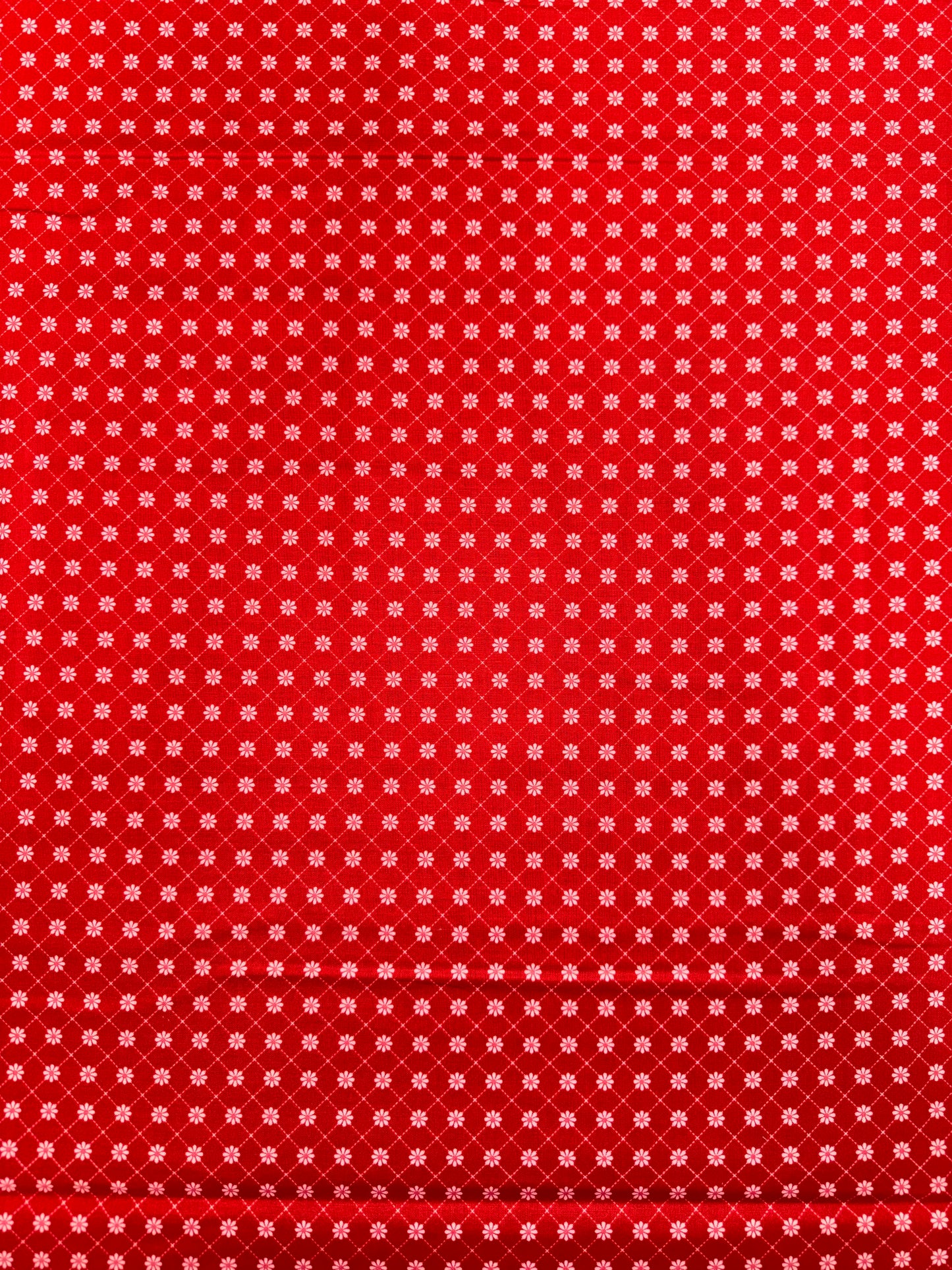 Smitten Chicken - Lazy Daisy - Red