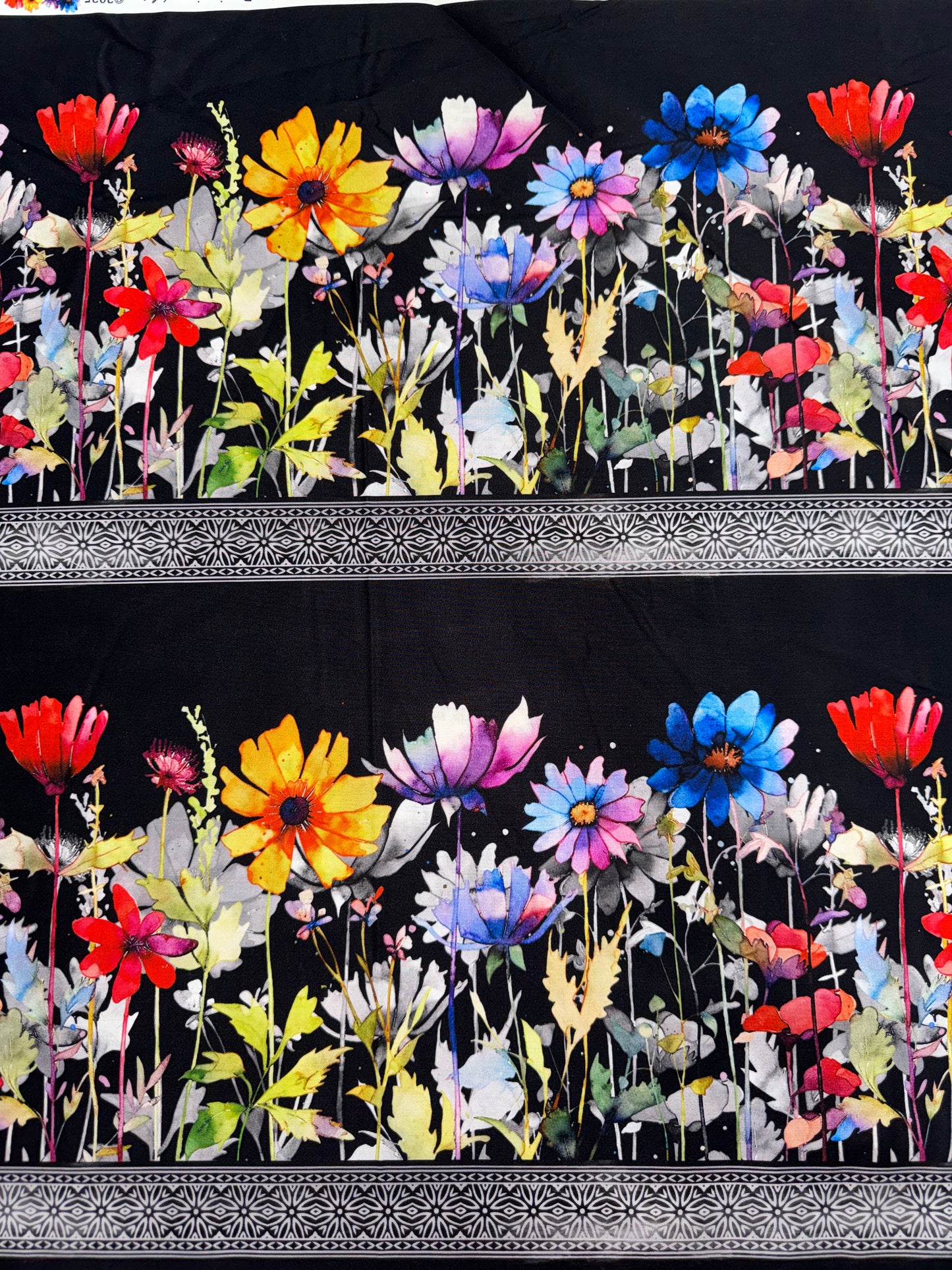 Blooming Day and Night by Jason Yenter - Black Border Print