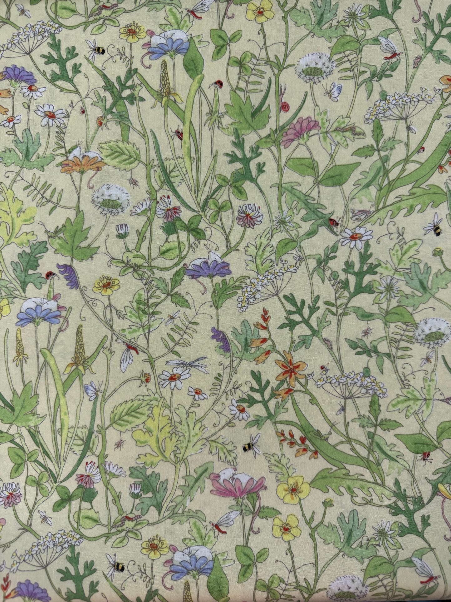Mouseplay - Meadow - Butter Background