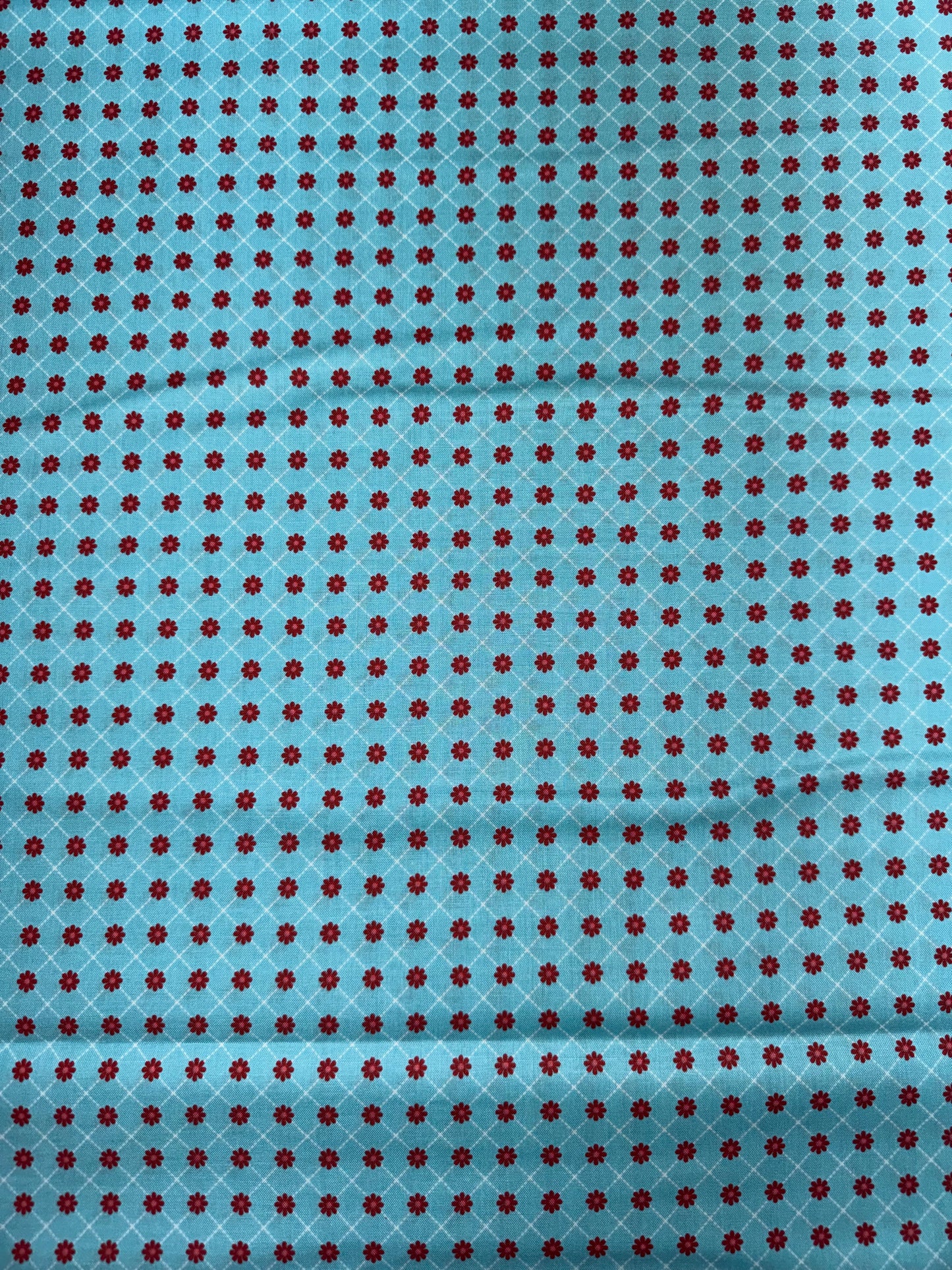 Smitten Chicken - Lazy Daisy - Aqua