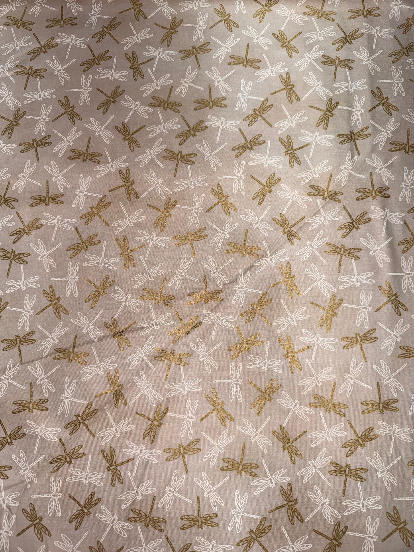 Robert Kaufman - Aurelia Natural Dragonflies