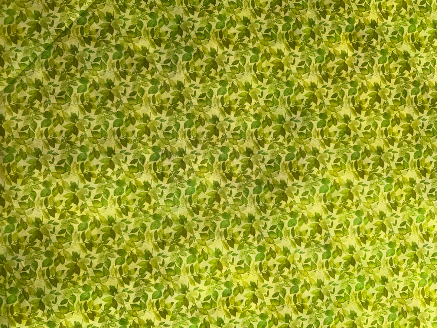 Blooming Day and Night by Jason Yenter -Green Leaves