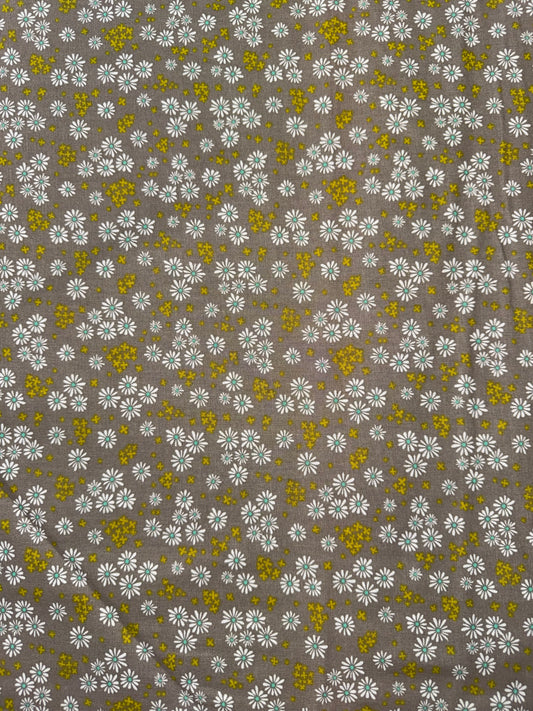 Daisy flowers on Tan background