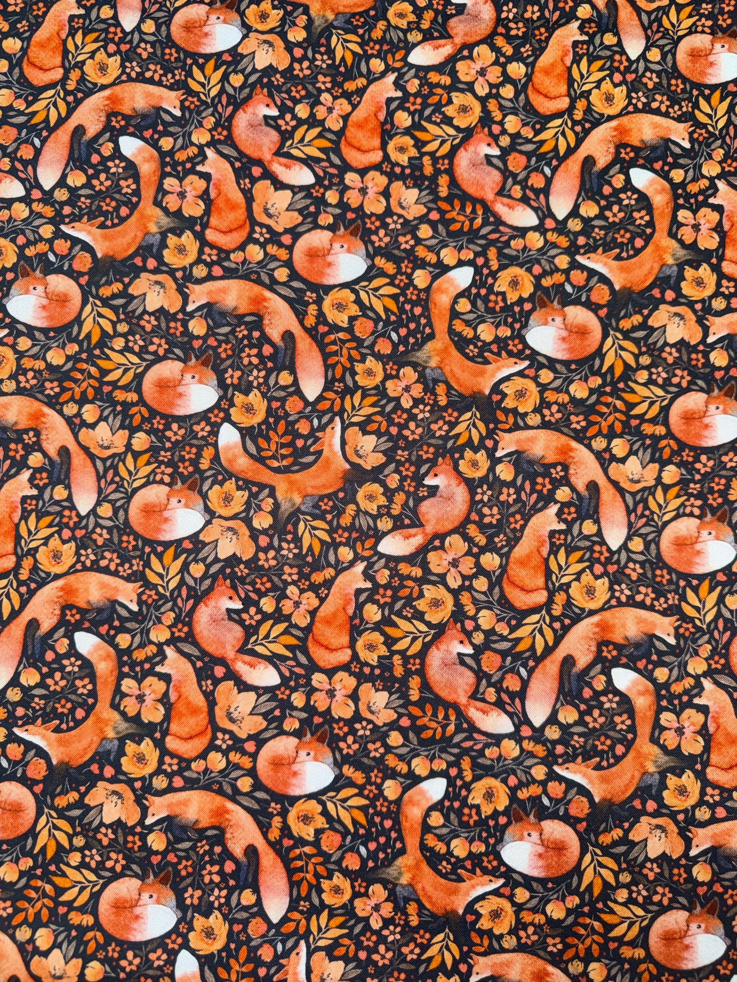 In the Forest - Foxes on a Black Background