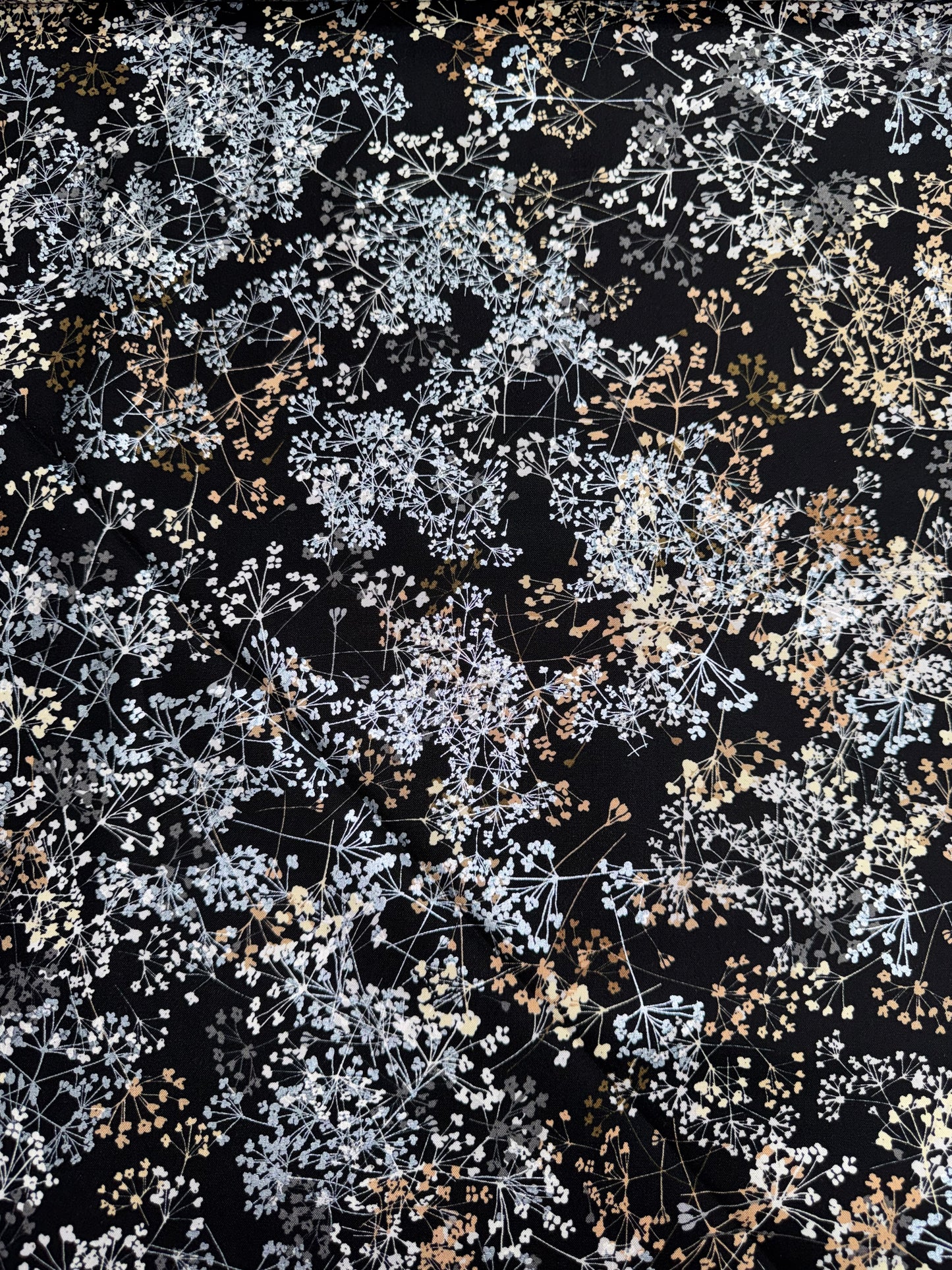 Queen Anns Lace - Copper and Silver Lacy flowers on Black background