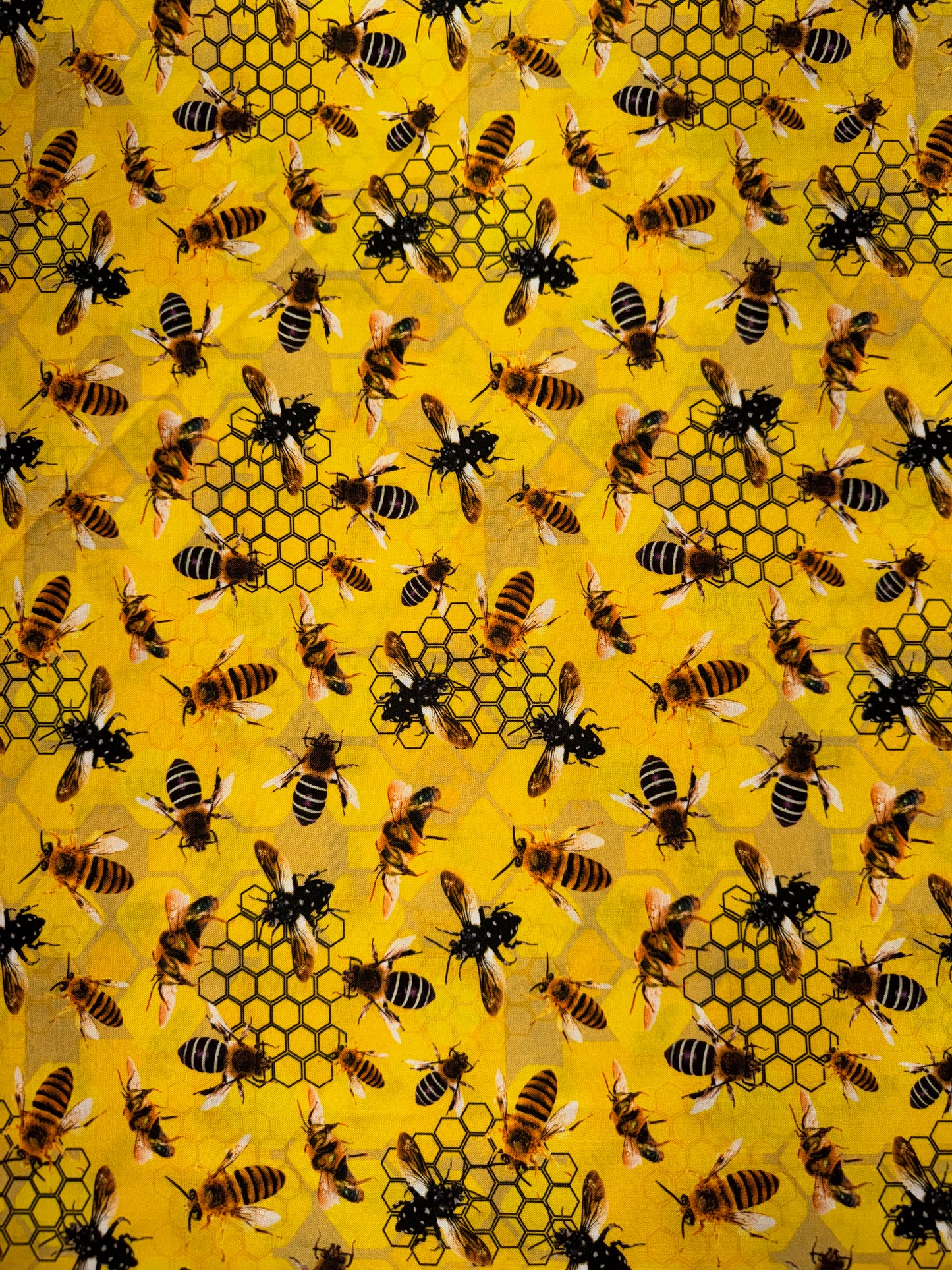 Honeycomb Harmony Native Bees allover