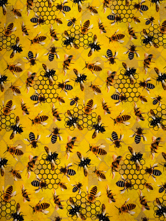 Honeycomb Harmony Native Bees allover