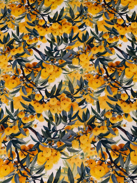 Nora's Natives Wattle DV6708