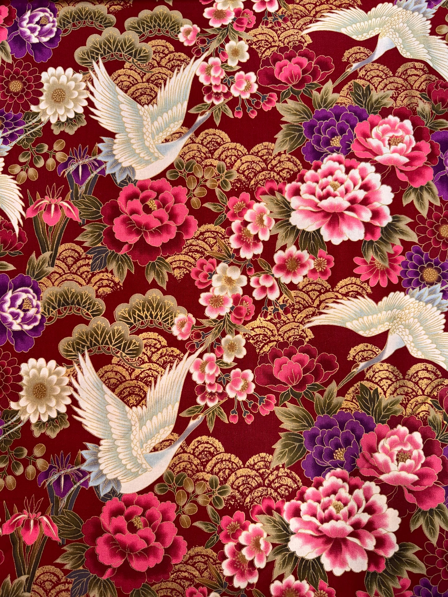 Japanese Kio Kio Red