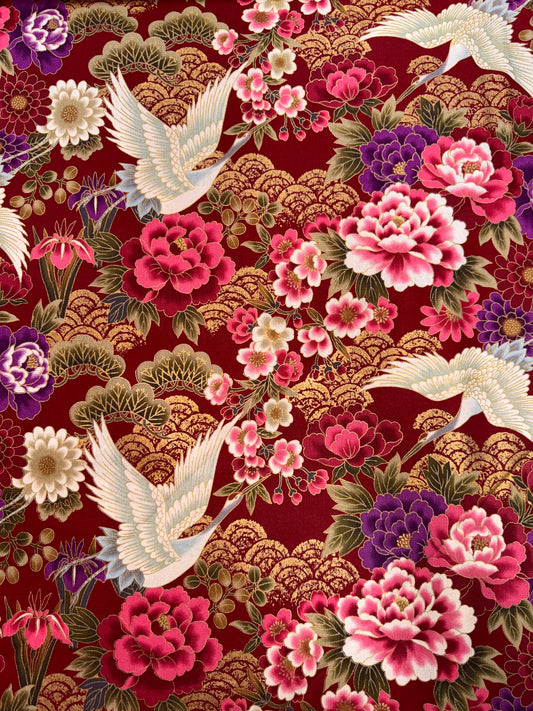 Japanese Kio Kio Red