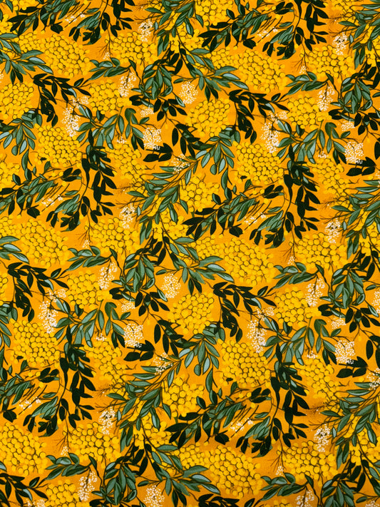 Nora's Natives Wattle DV6714