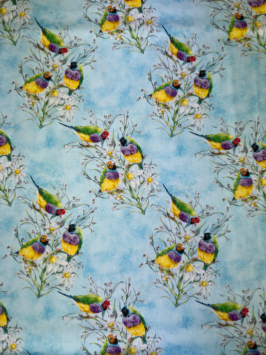 DV7046 Kayla Reay Australian Birds on a Blue Background